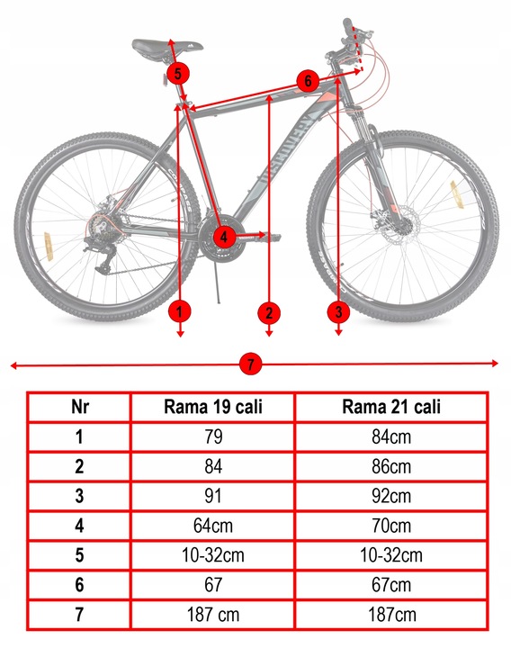 ROWER GÓRSKI MTB 29' BASTION 29 21B AMORTYZACJA HAMULCE TARCZOWE wzrost 165-190cm