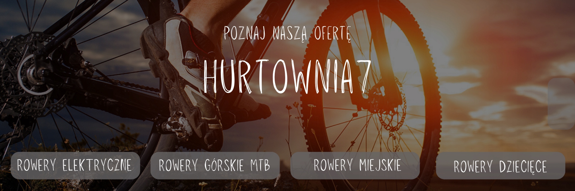 ROWER MTB GÓRSKI HURTEX DISCOVERY SREBRNO-ZIELONY 26